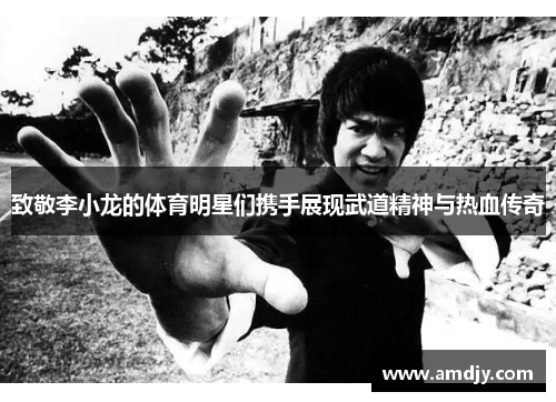致敬李小龙的体育明星们携手展现武道精神与热血传奇