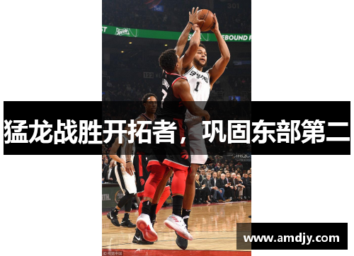 猛龙战胜开拓者，巩固东部第二