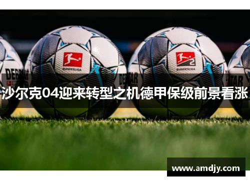 沙尔克04迎来转型之机德甲保级前景看涨